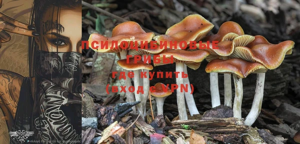 амф Алзамай